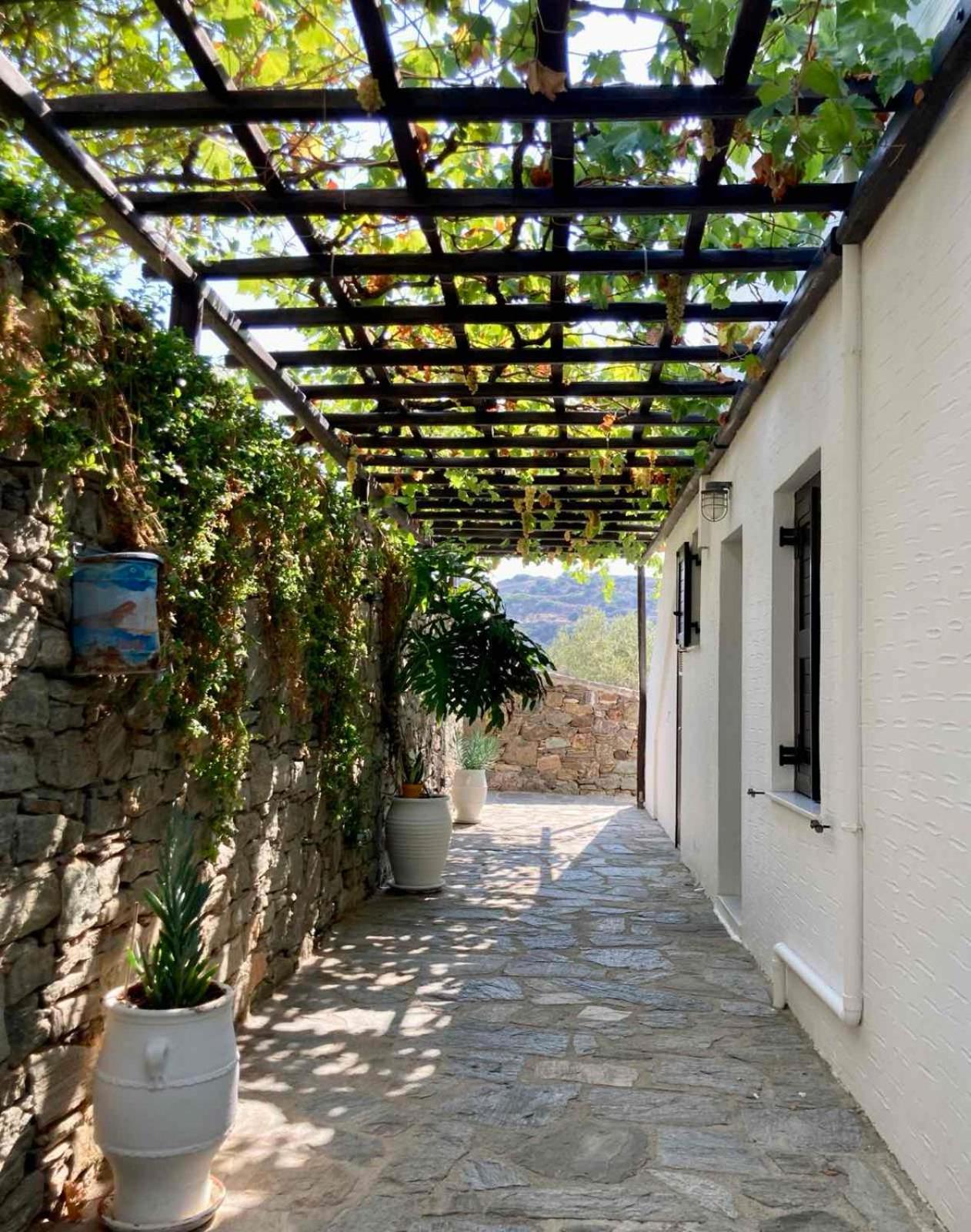 Syrou Lotos Studios & Apartments (Adults Only) Kini Chambre photo